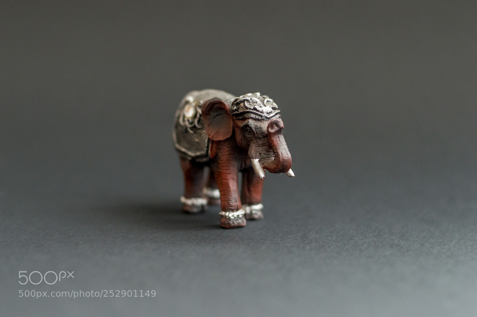 Nikon D3200 sample photo. Elephant photography