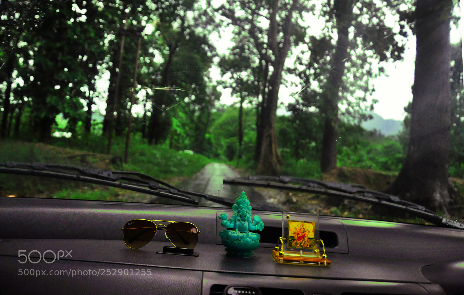Nikon D90 sample photo. Untitled photography