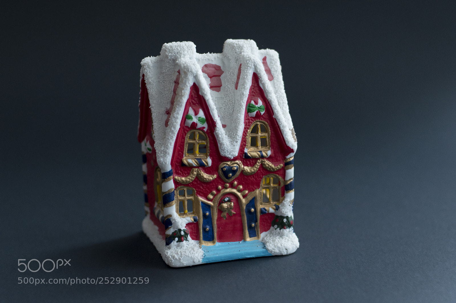 Nikon D3200 sample photo. Christmas decorated house model. photography