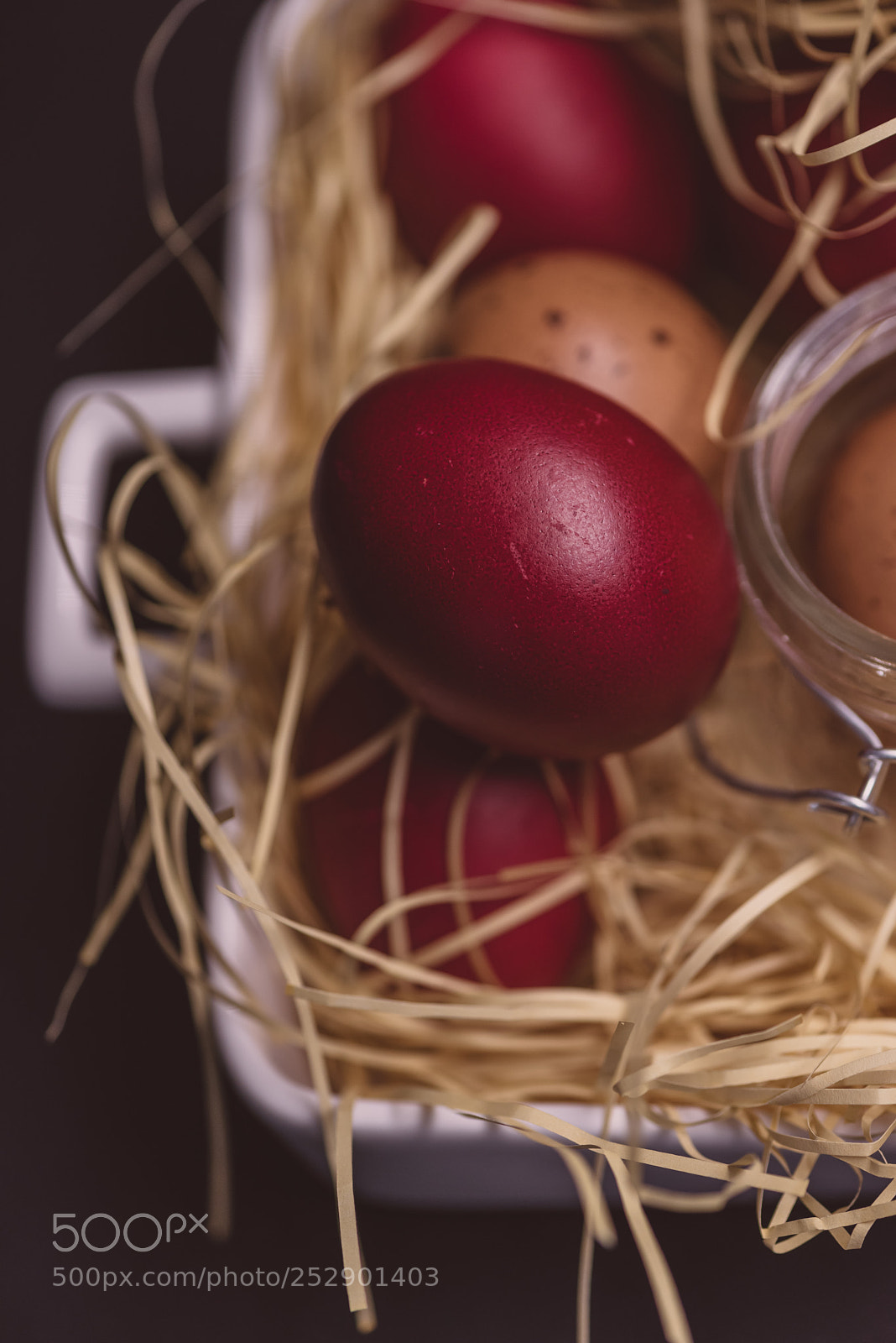 Nikon D810 sample photo. 287.jpg photography