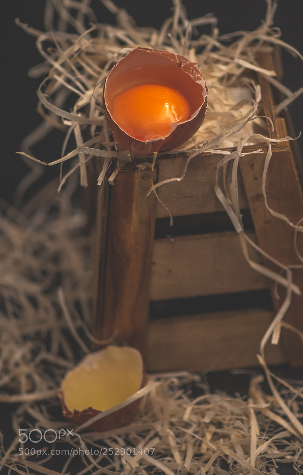 Nikon D810 sample photo. 289.jpg photography