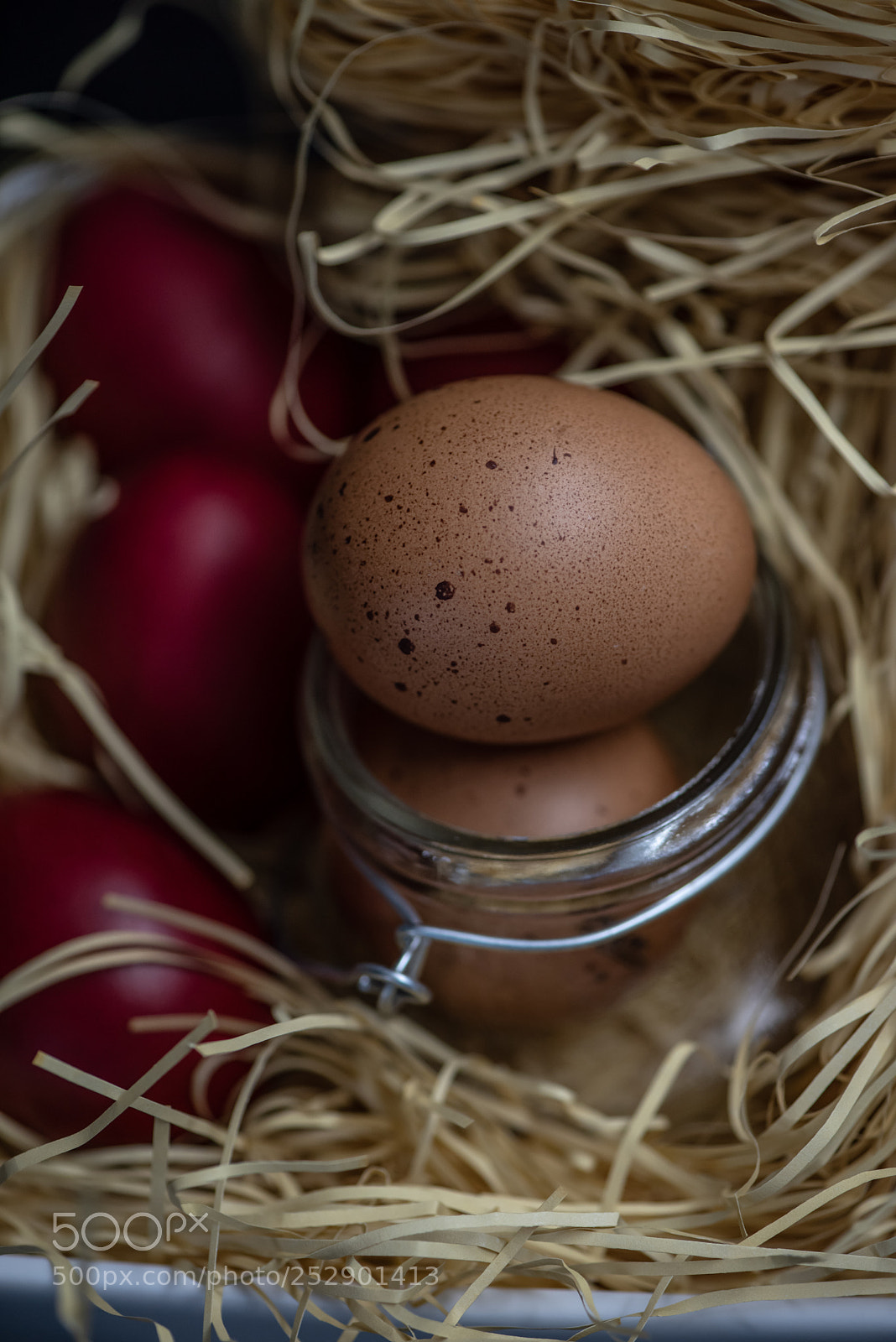 Nikon D810 sample photo. 291.jpg photography