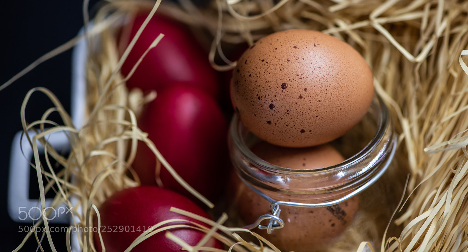 Nikon D810 sample photo. 292.jpg photography
