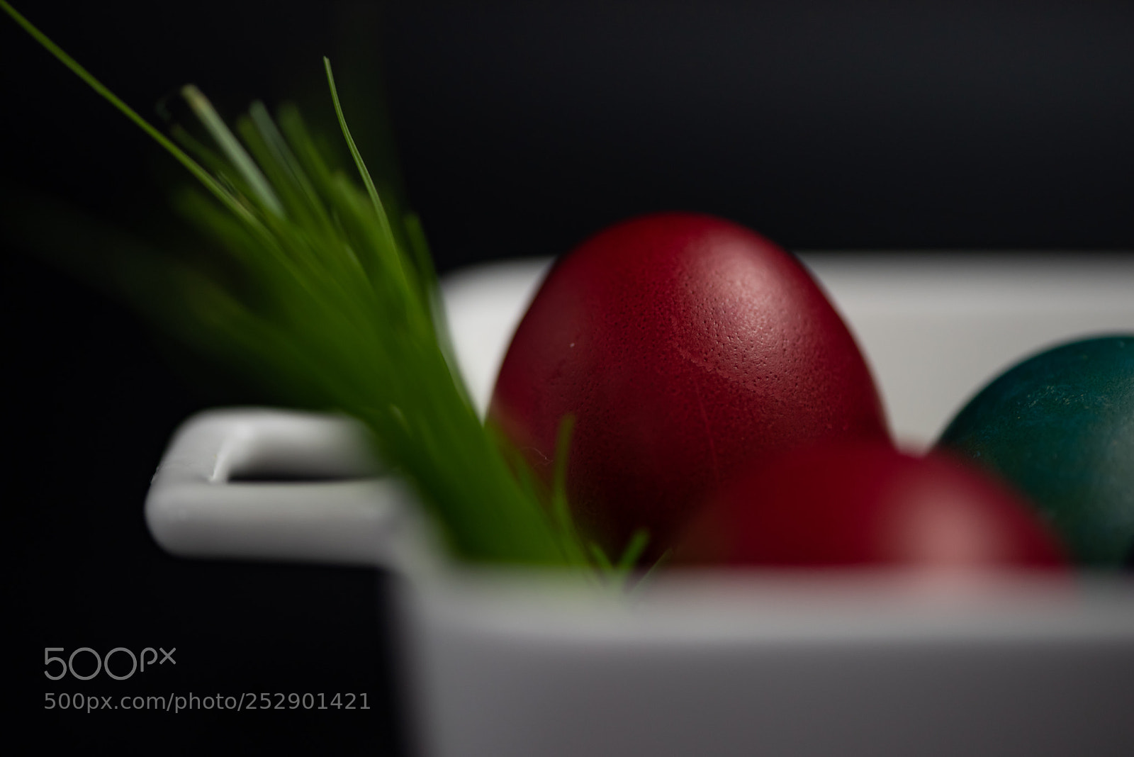 Nikon D810 sample photo. 293.jpg photography