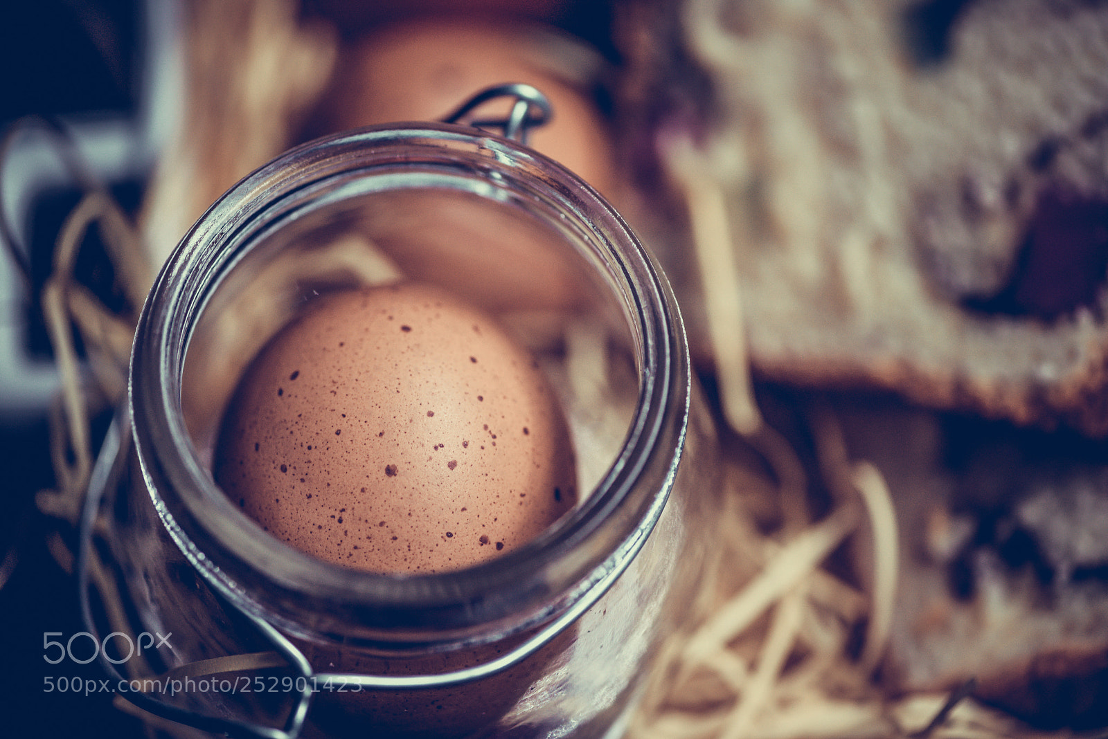 Nikon D810 sample photo. 294.jpg photography