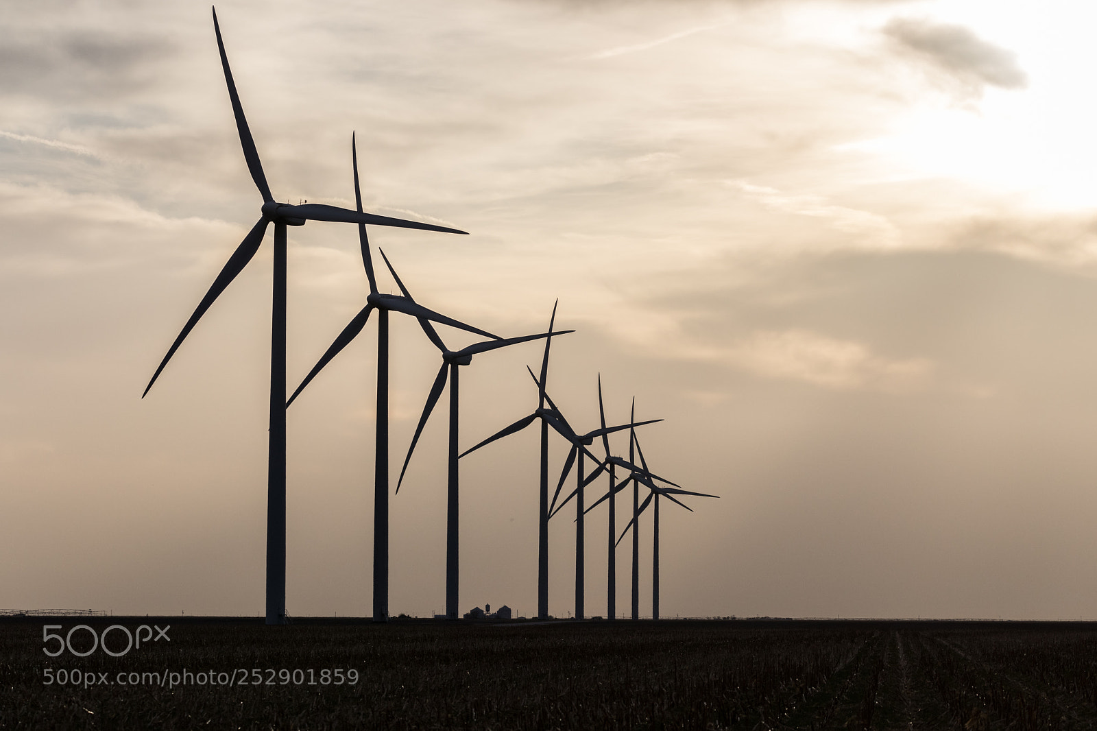 Canon EOS 5D Mark IV sample photo. Modern windmills photography