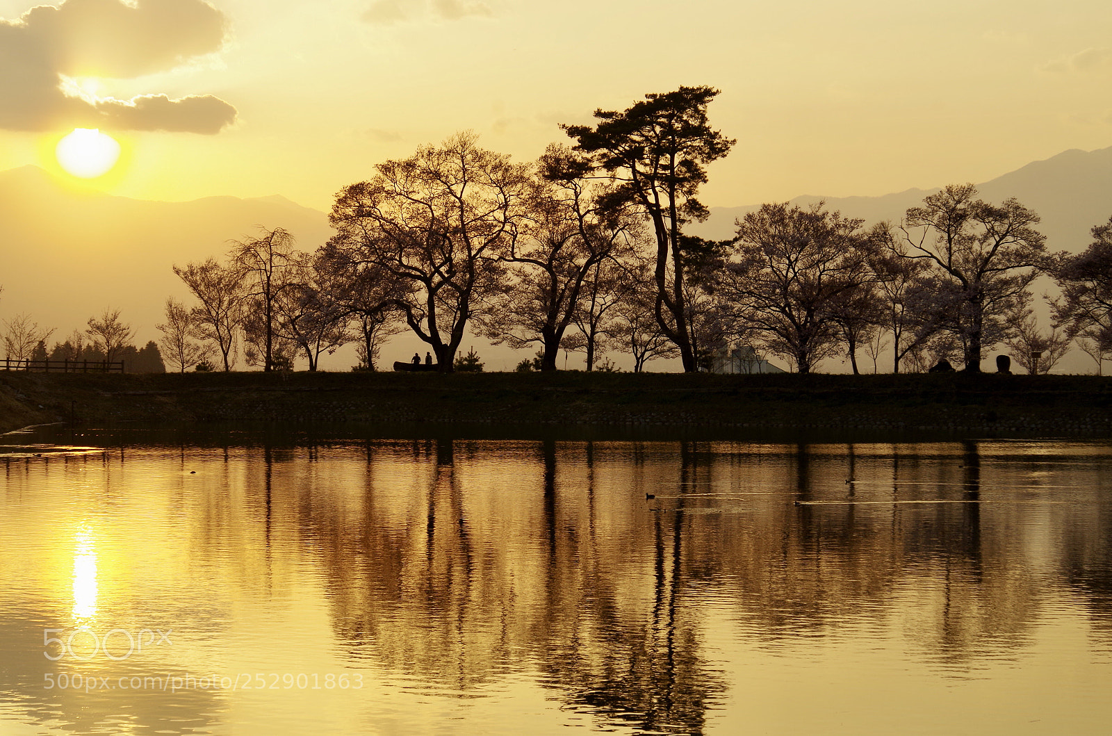 Pentax K-50 sample photo. Sunset photography