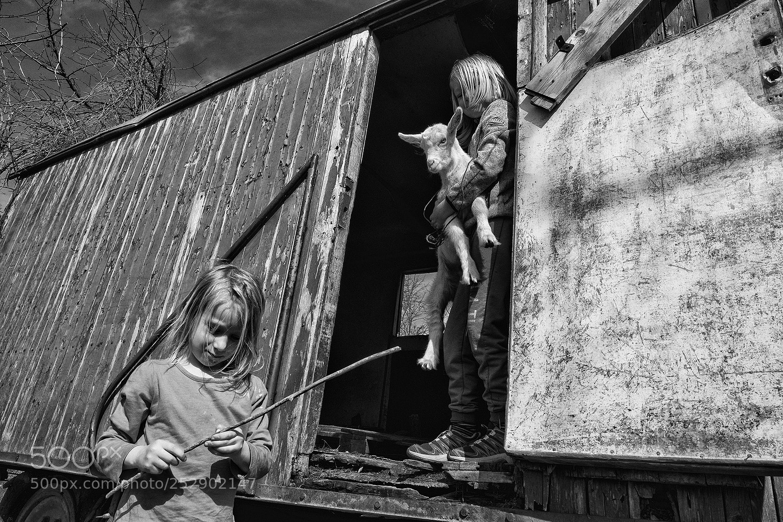 Fujifilm X-T2 sample photo. Cubs photography