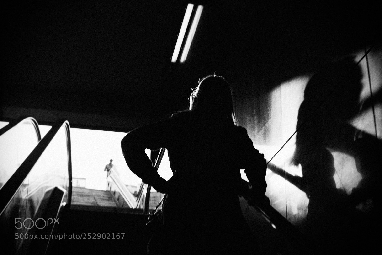 Canon EOS 6D Mark II sample photo. Climb, lover climb 217/365 photography
