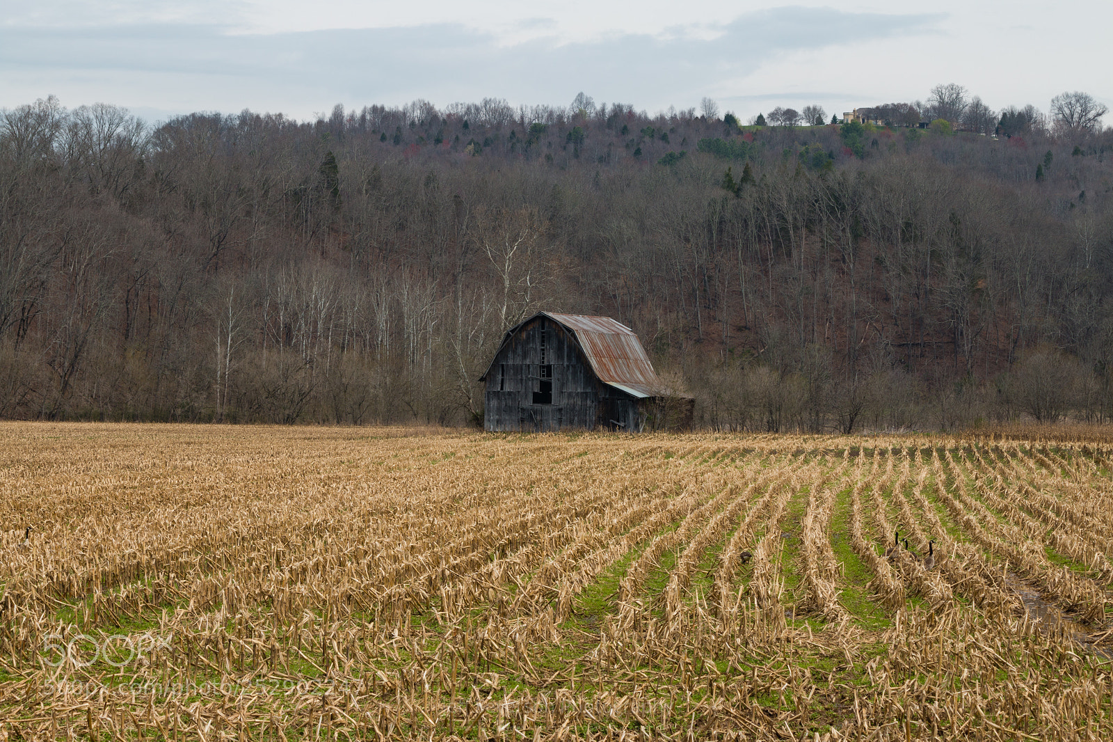 Canon EOS 70D sample photo. Old country barn in photography