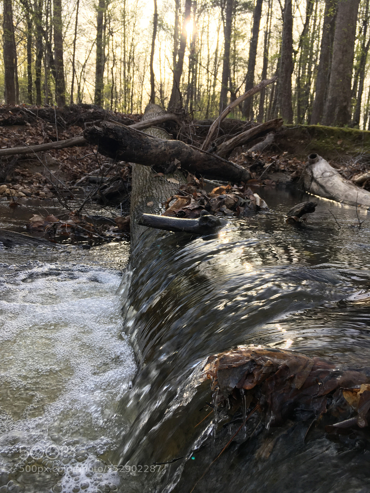 Apple iPhone SE sample photo. Waterfall over a log photography