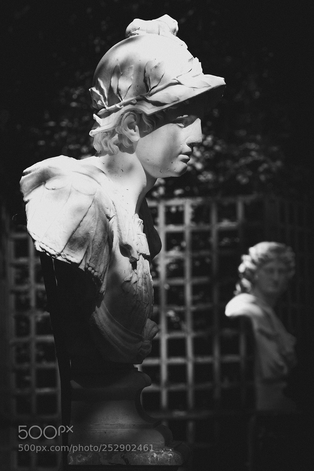 Nikon D500 sample photo. Alexandre et apollon photography