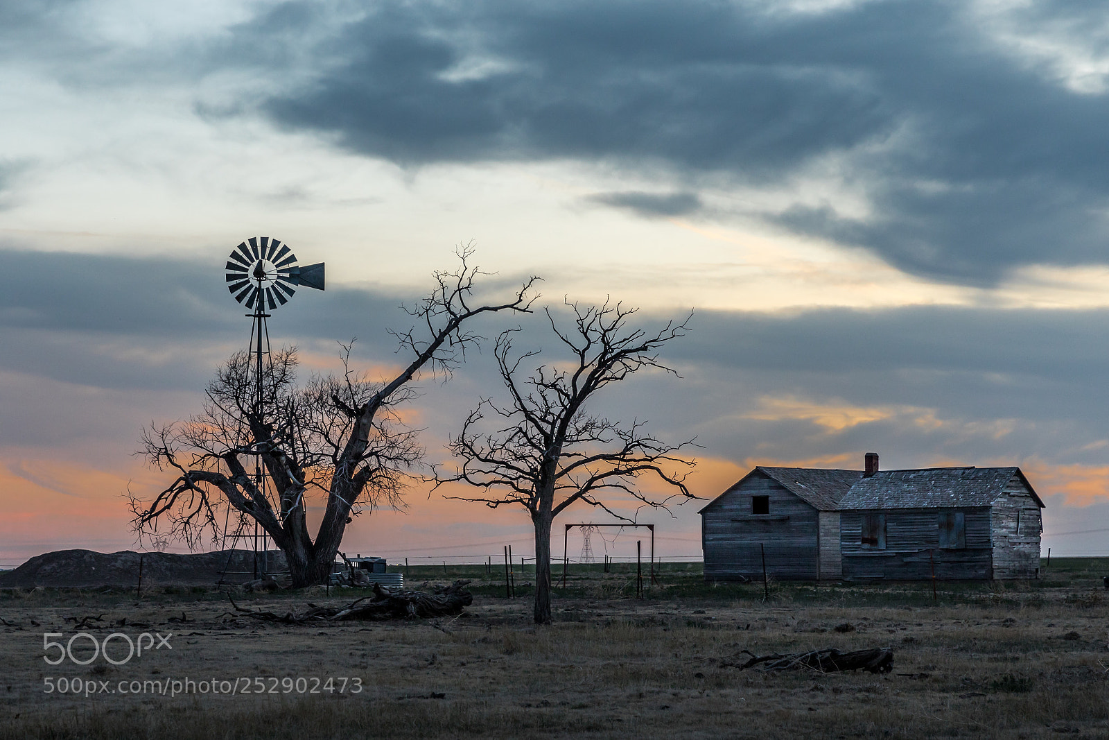 Canon EOS 5D Mark IV sample photo. Homestead photography