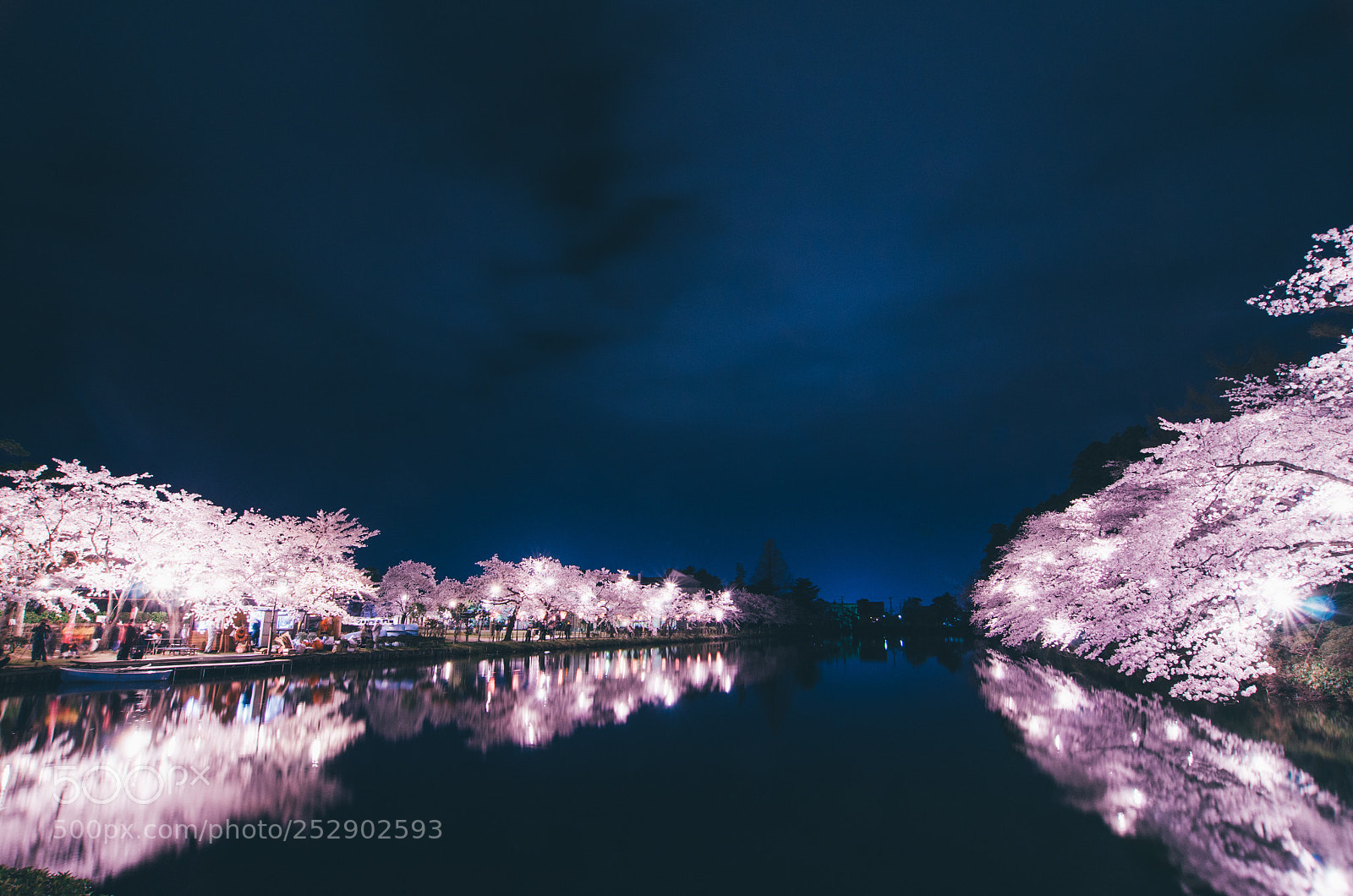 Nikon D7000 sample photo. Cherry blossom photography