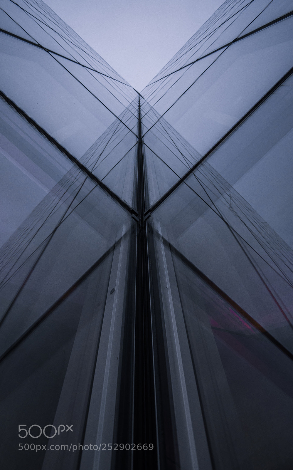 Nikon D5500 sample photo. Perflection photography