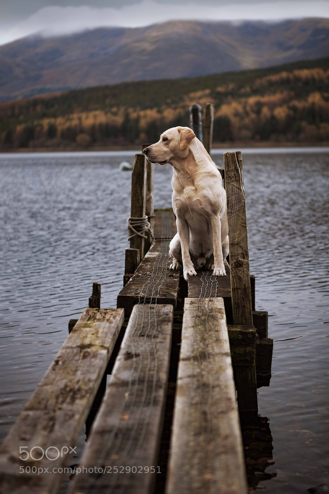 Canon EOS 5D Mark II sample photo. Glenpean photography