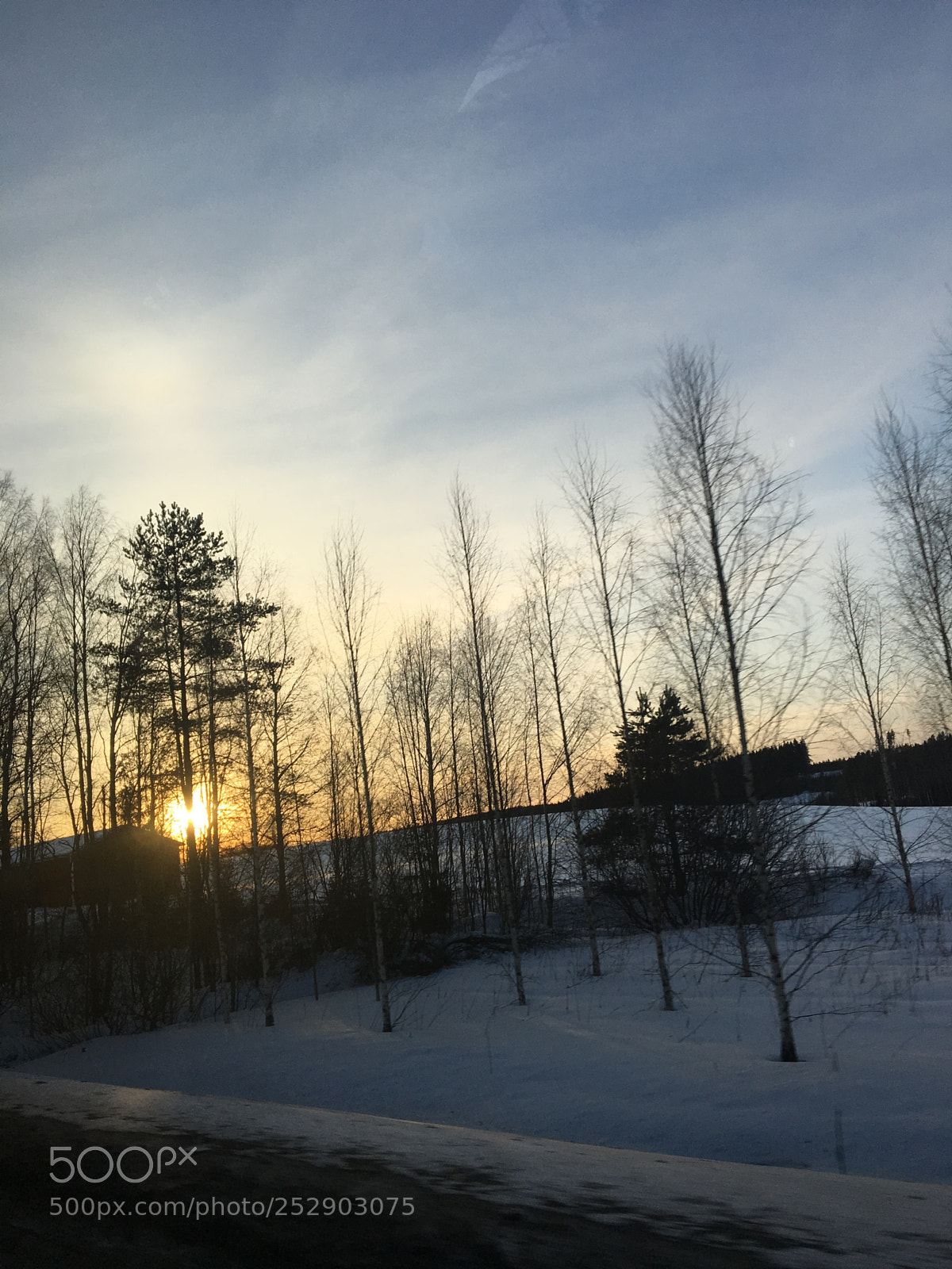 Apple iPhone 6s sample photo. Dce ffadfbdcfc photography