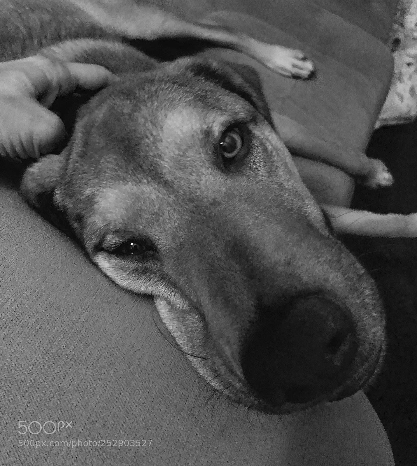 Apple iPhone X sample photo. Alex photography