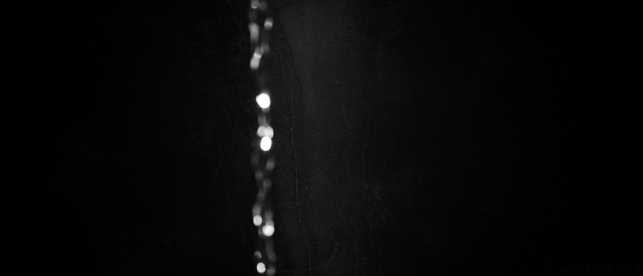 Sigma sd Quattro sample photo. Like a necklace photography