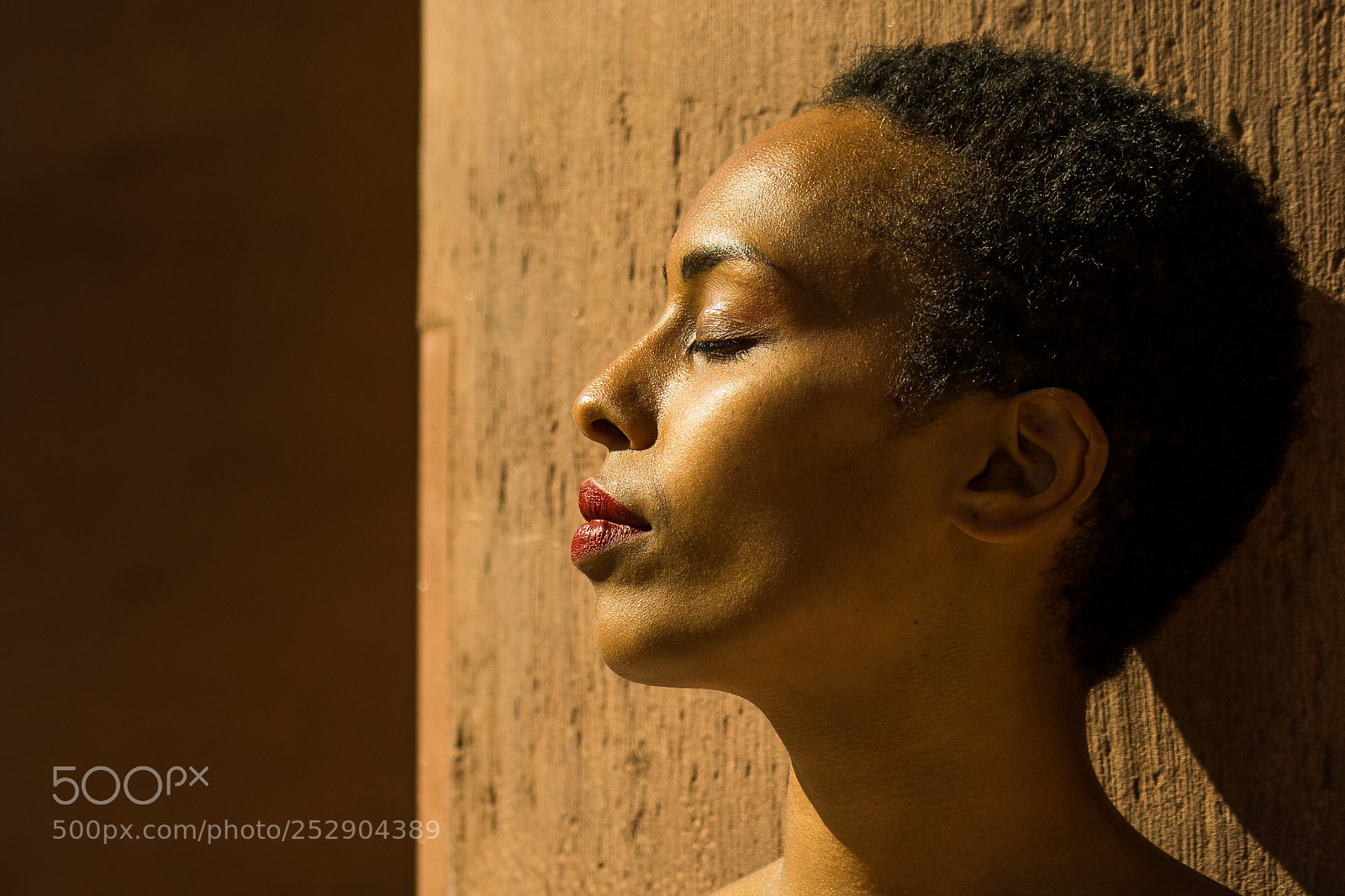 Sony a7R sample photo. Gold and brown photography