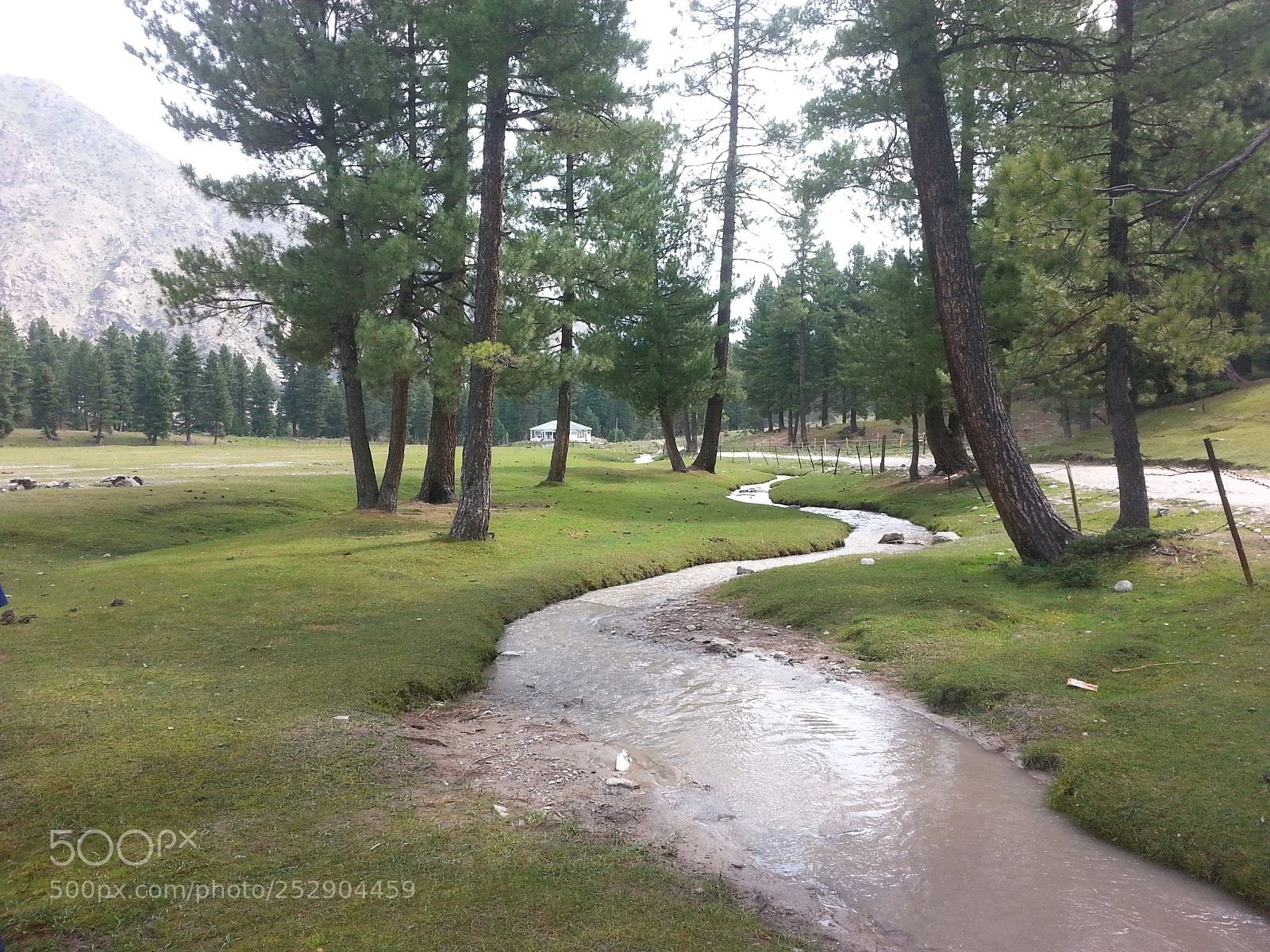 Samsung Galaxy S3 sample photo. 20160807_092358.jpg photography
