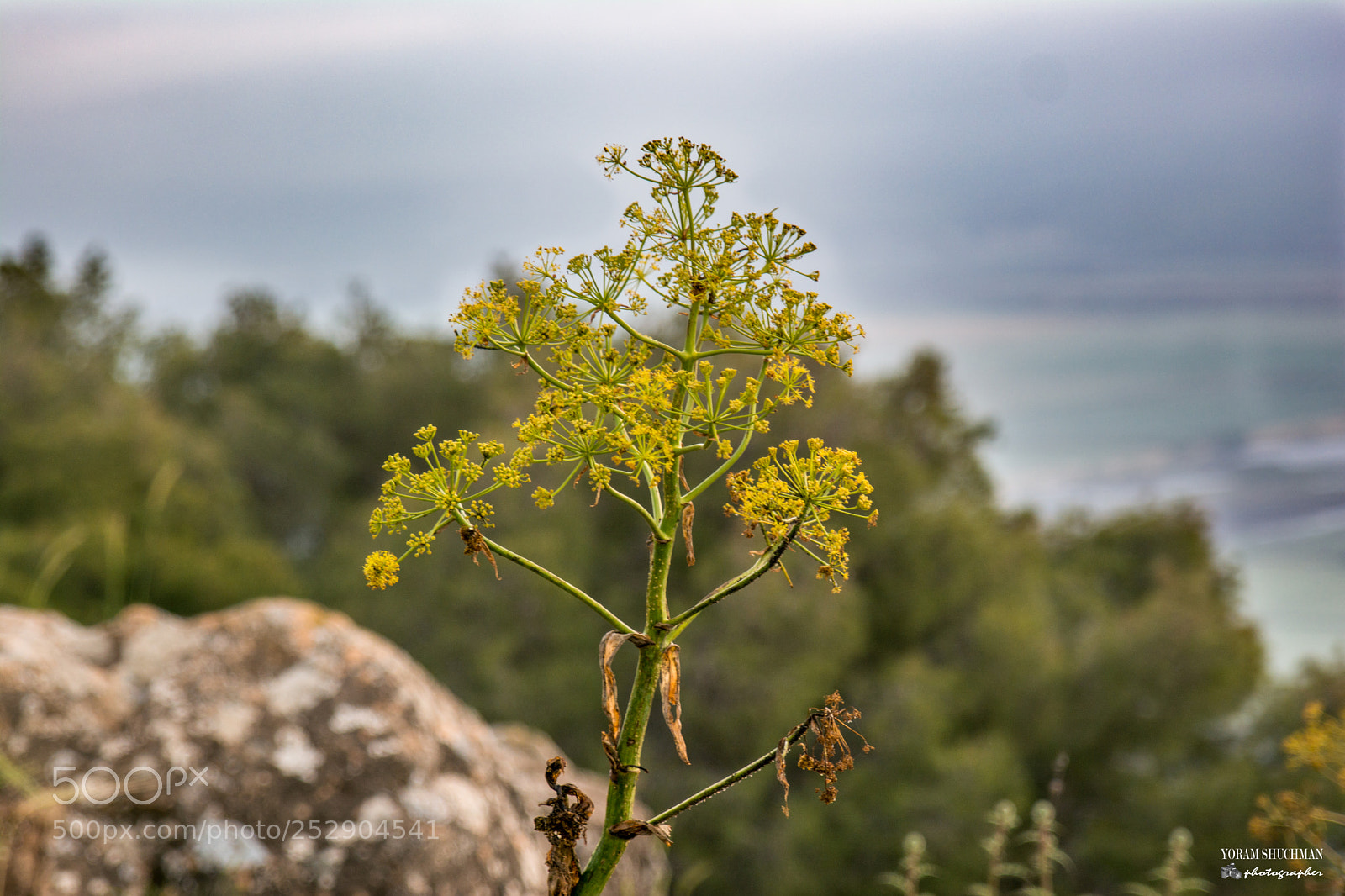 Nikon D7100 sample photo. Photos before sunrise photography