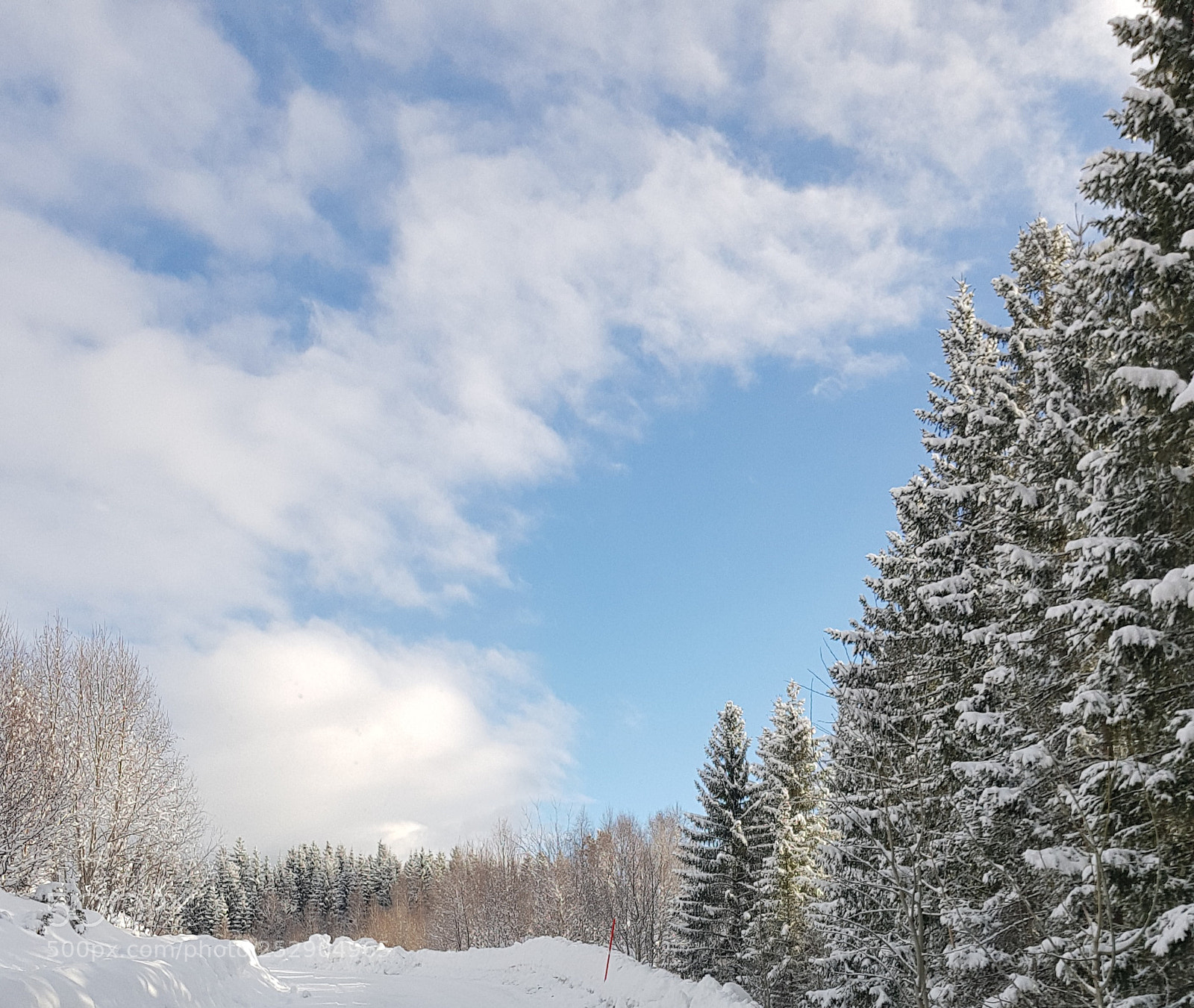 Samsung Galaxy S8 sample photo. Winter in april. so photography