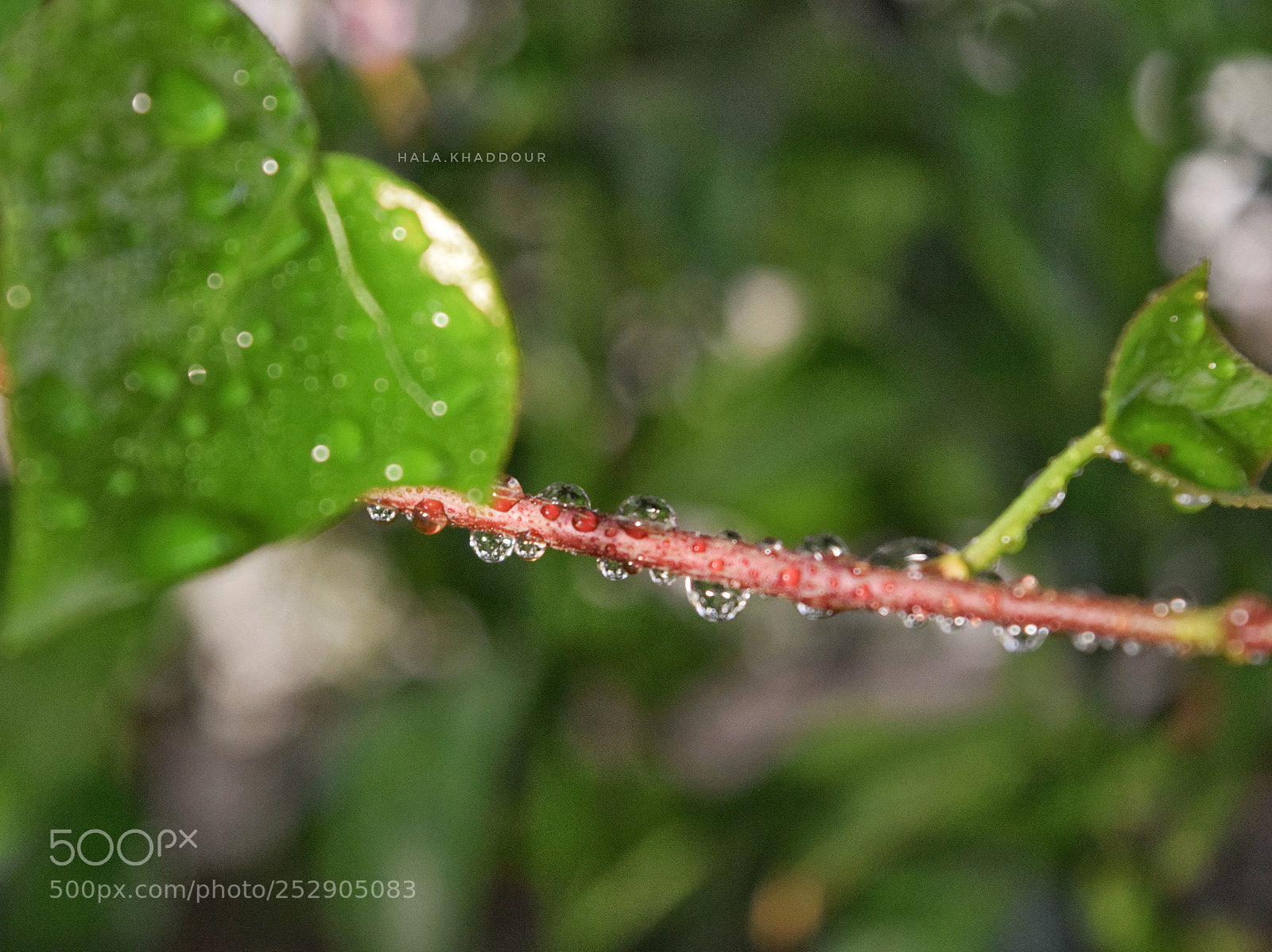 Nikon D5300 sample photo. Untitled photography