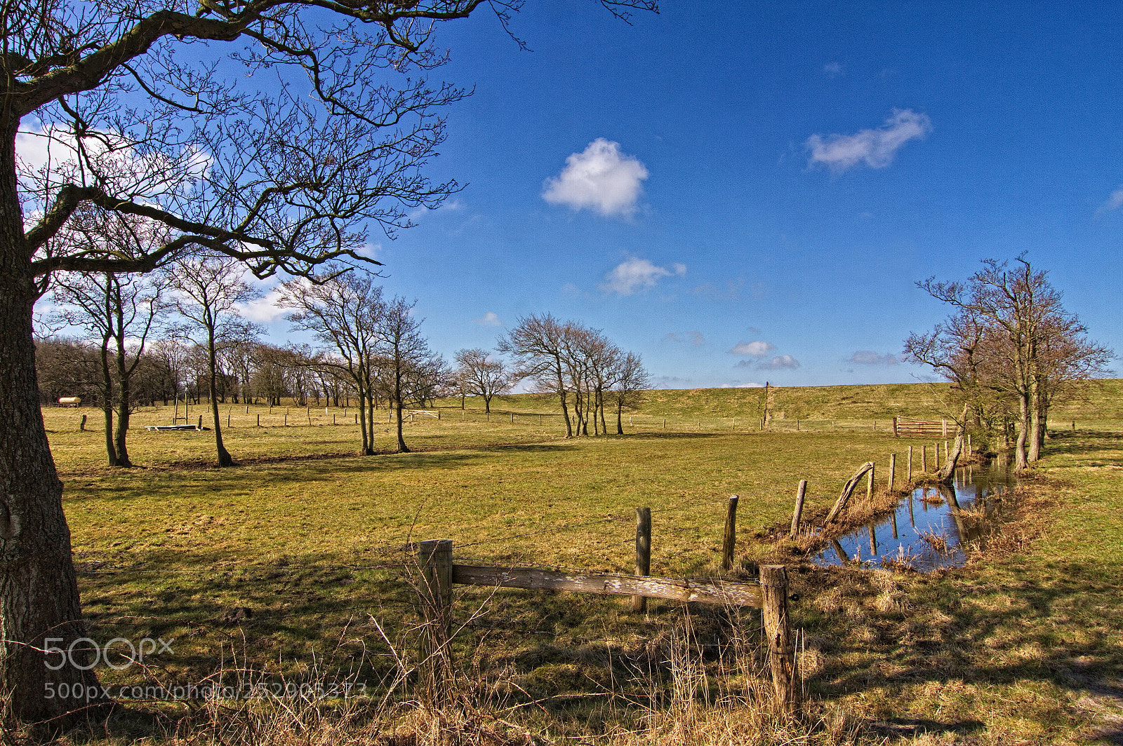 Canon EOS 7D sample photo. At the dike of photography