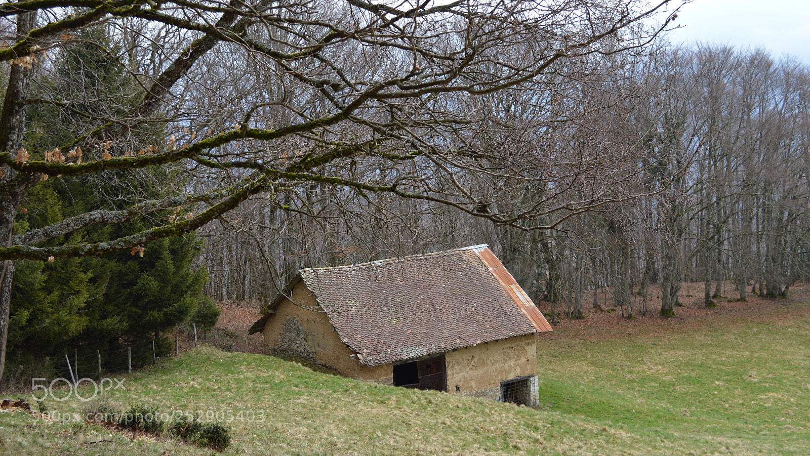 Nikon D3200 sample photo. 22.jpg photography