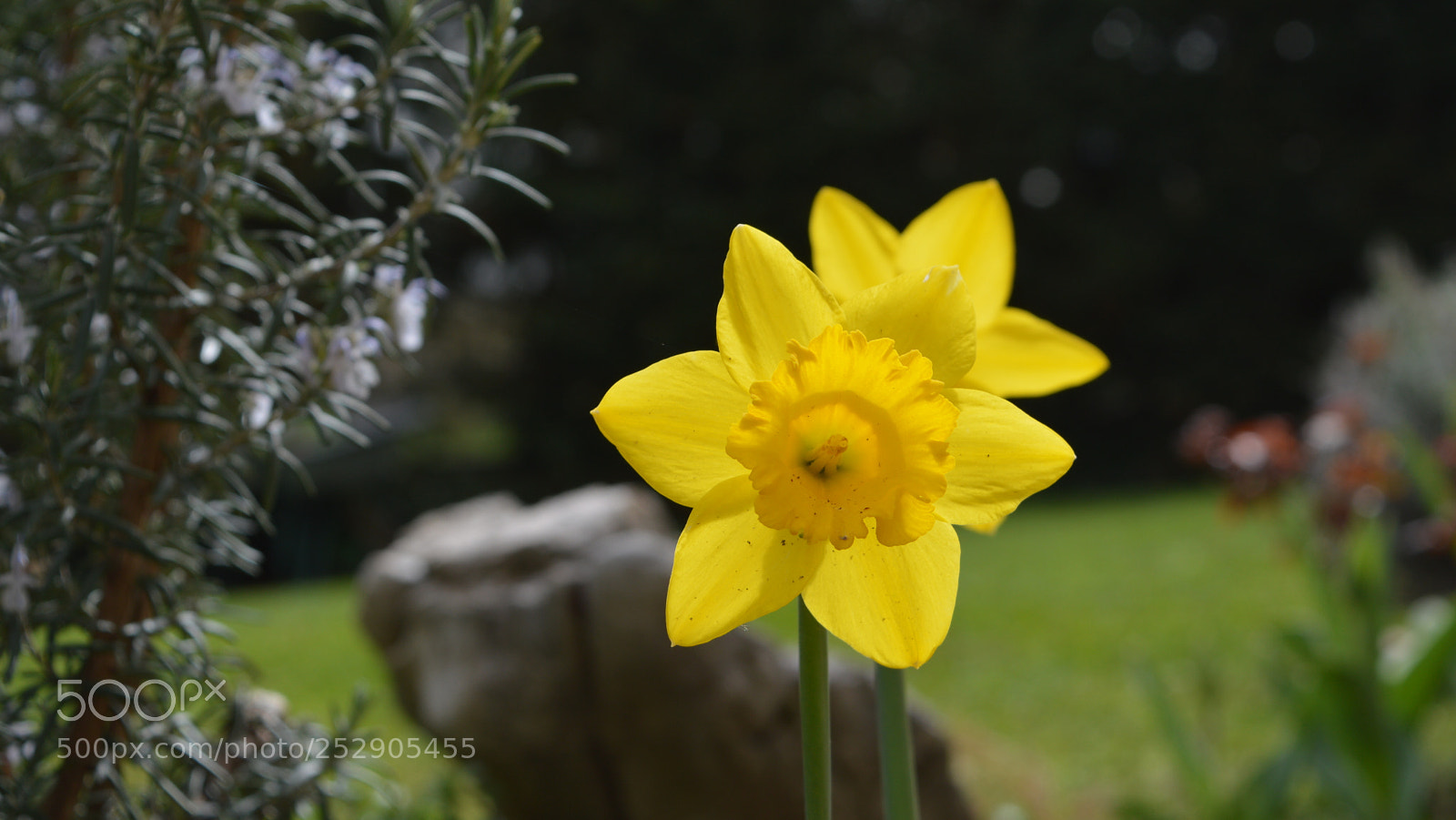 Nikon D3200 sample photo. 25.jpg photography