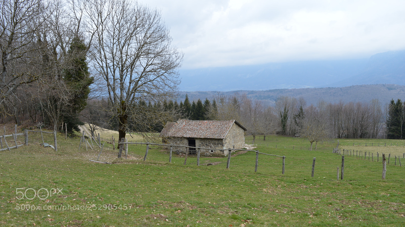 Nikon D3200 sample photo. 38.jpg photography