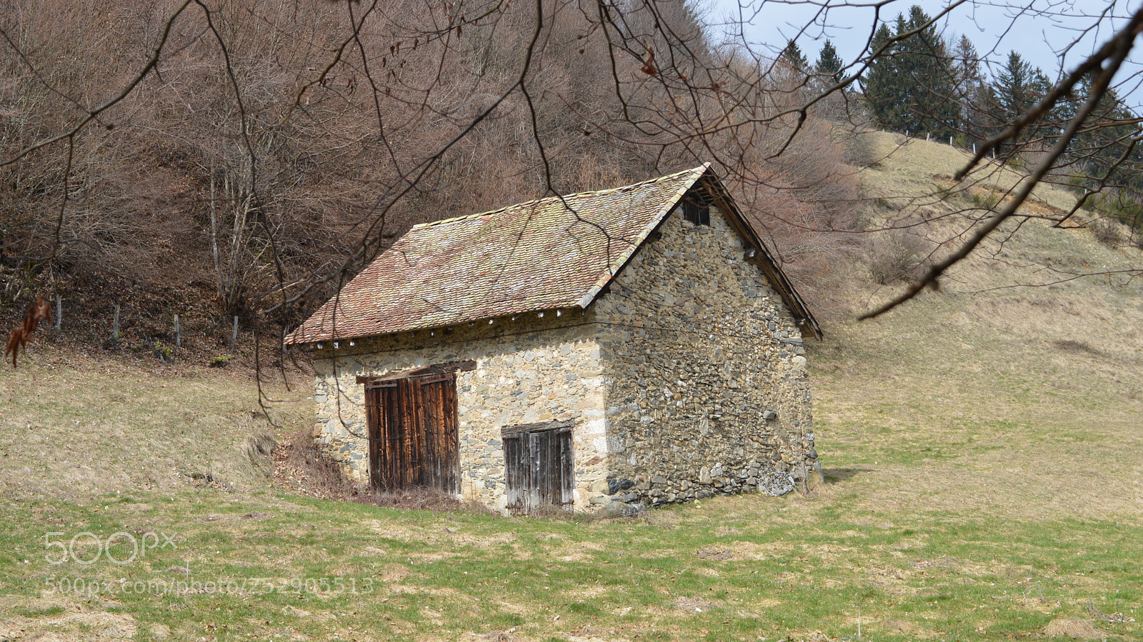 Nikon D3200 sample photo. 69.jpg photography