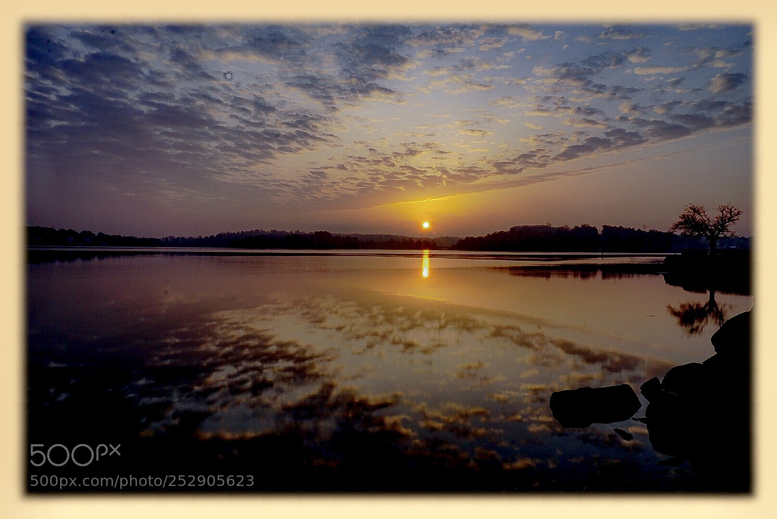 Sony a6000 sample photo. In the morning  photography