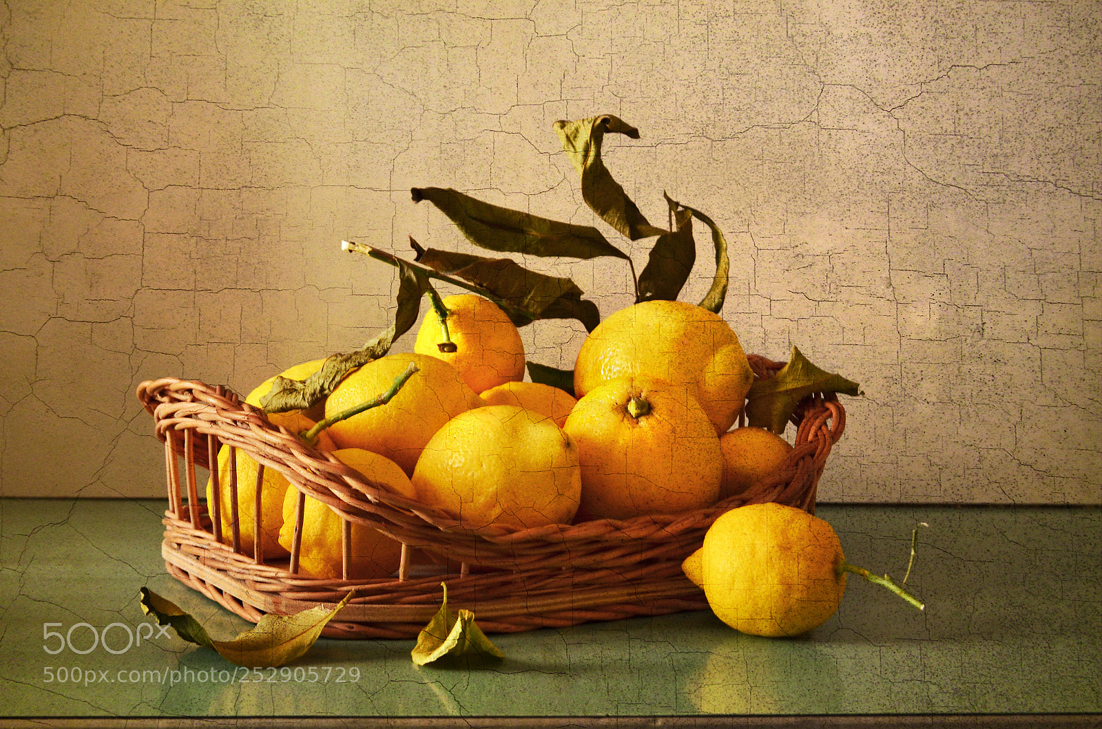 Nikon D5100 sample photo. With lemons photography