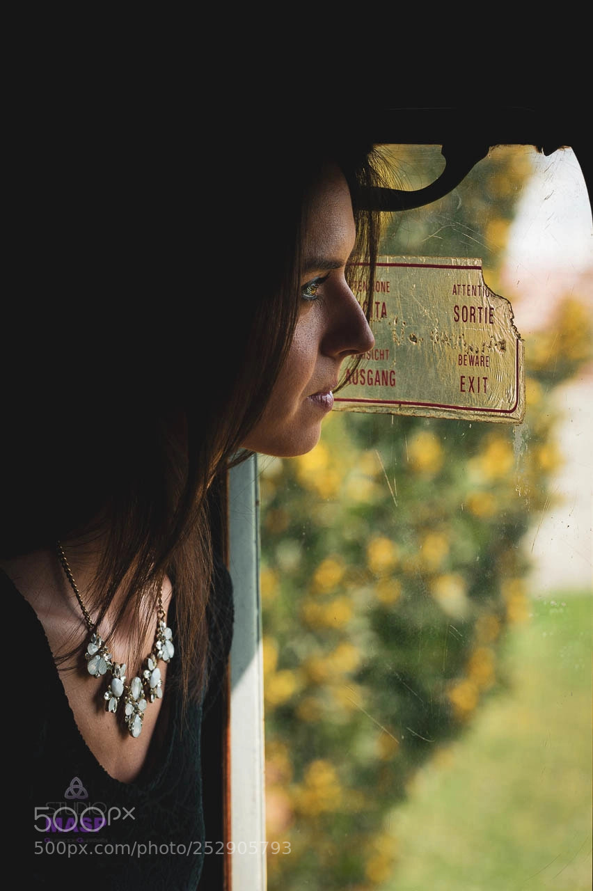 Nikon D700 sample photo. Sul treno photography