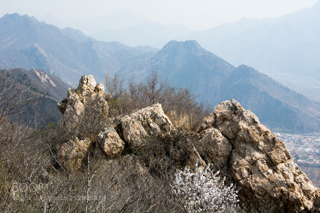 Nikon D7100 sample photo. 桃花开 photography