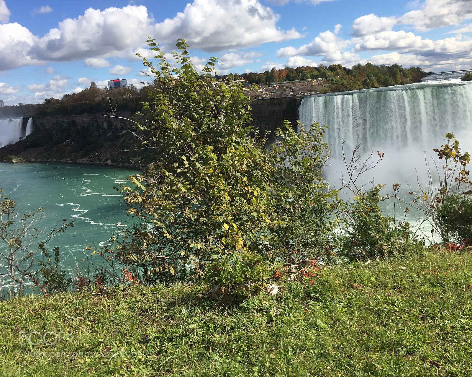 Apple iPhone 6 sample photo. Oct photography