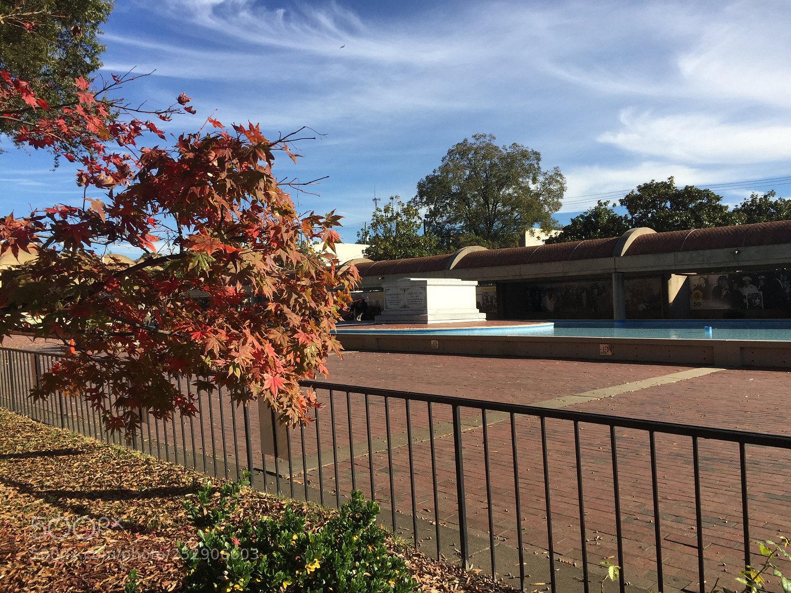 Apple iPhone 6 sample photo. Oct photography