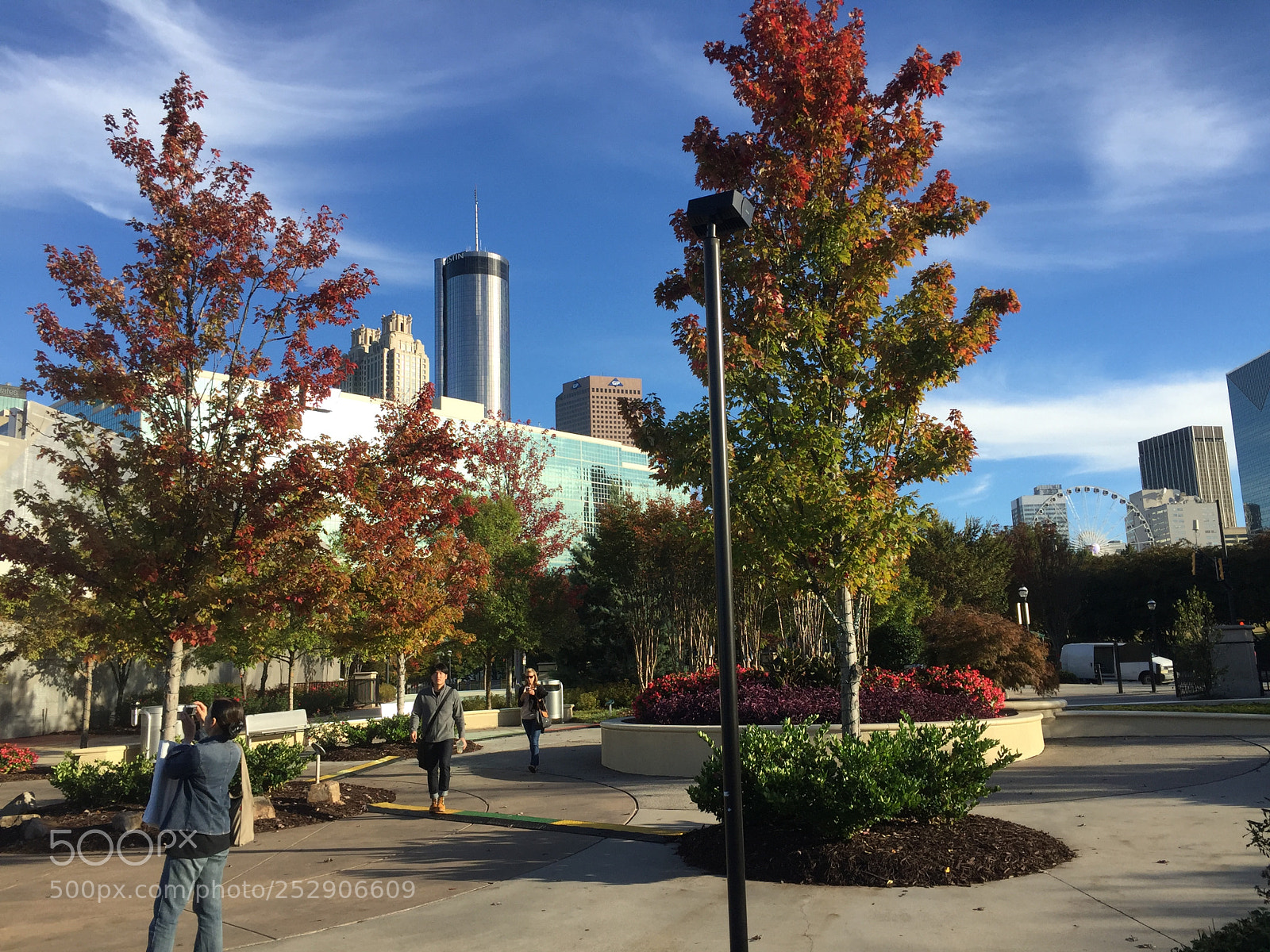 Apple iPhone 6 sample photo. Oct photography