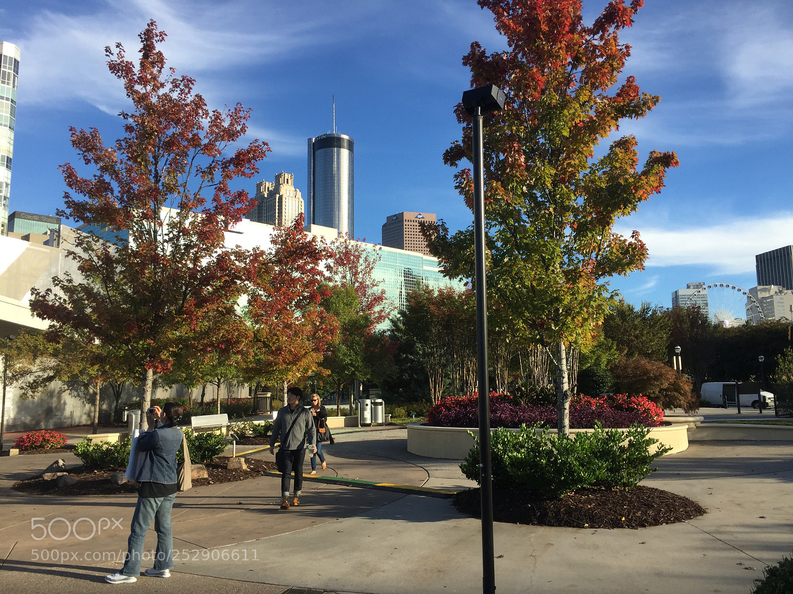 Apple iPhone 6 sample photo. Oct photography