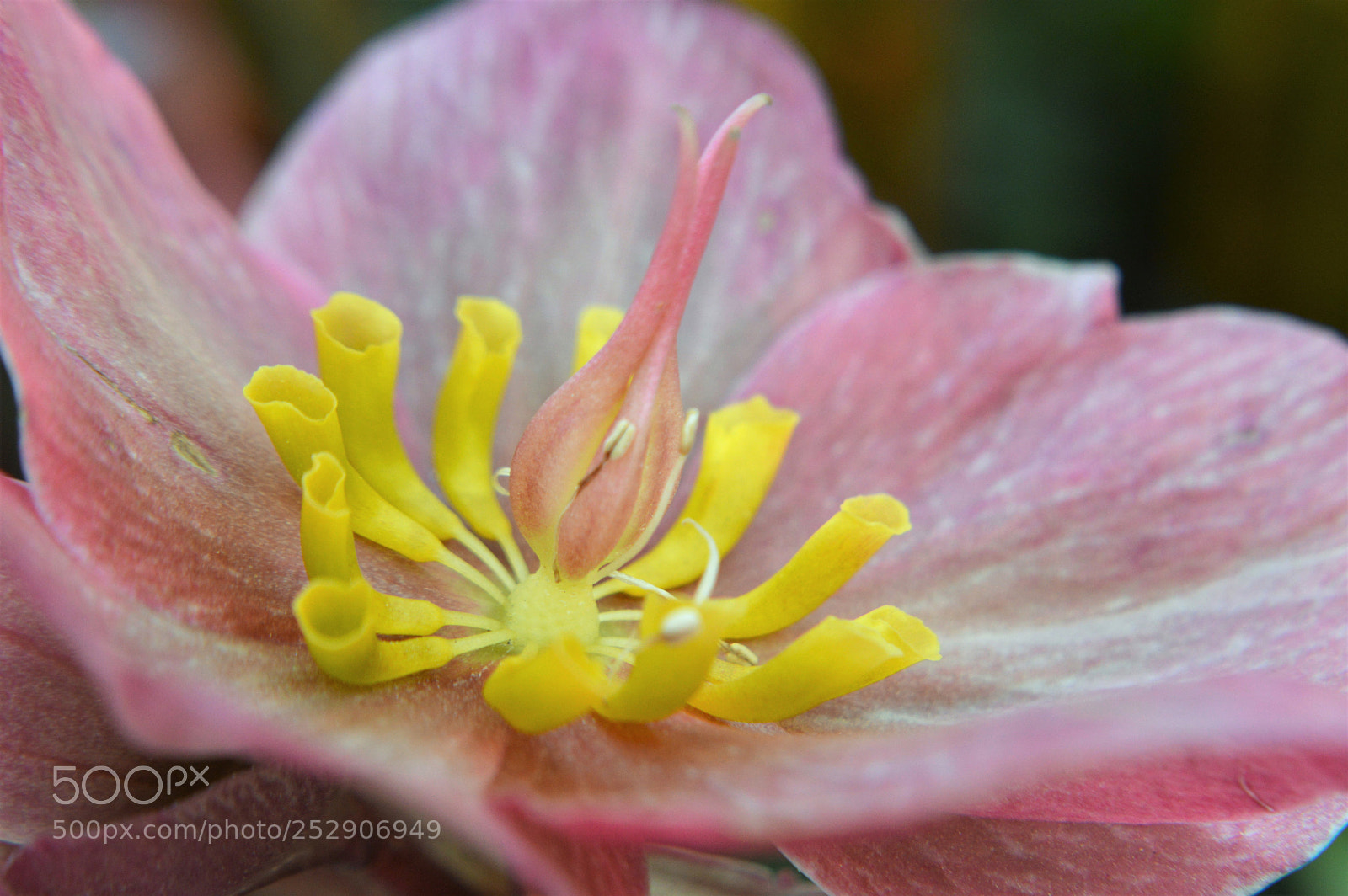 Nikon D3200 sample photo. Spring photography