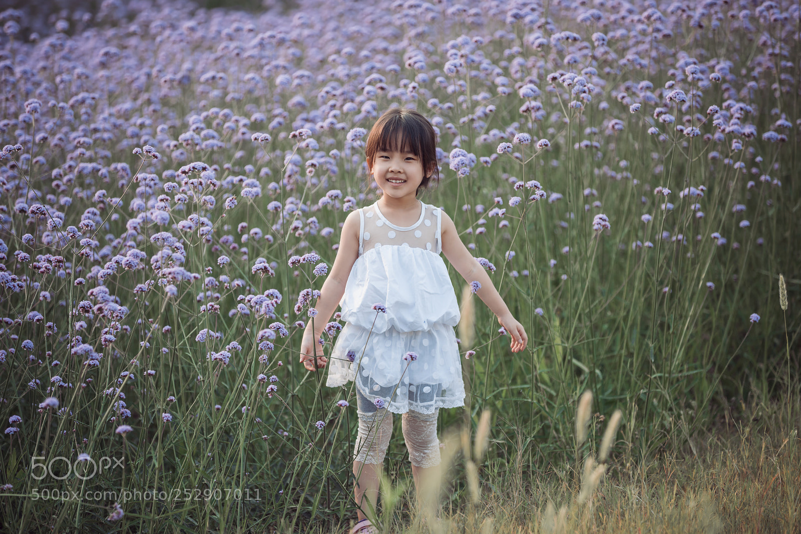 Canon EOS 5D Mark IV sample photo. Untitled photography
