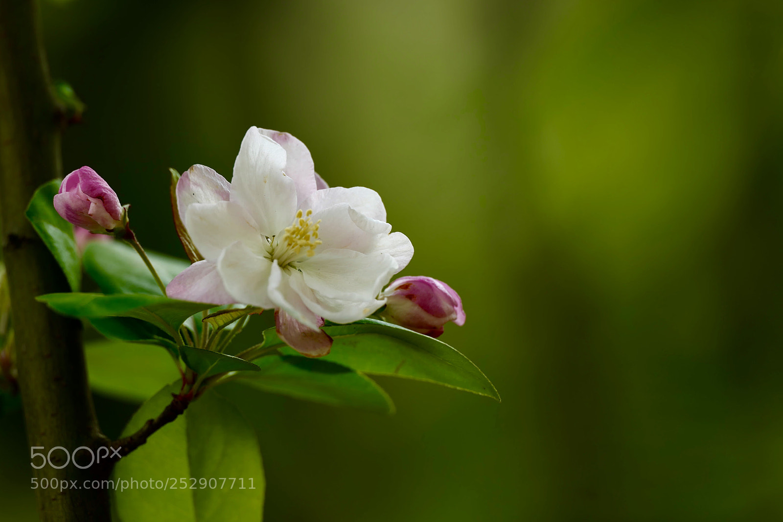 Leica SL (Typ 601) sample photo. Untitled photography