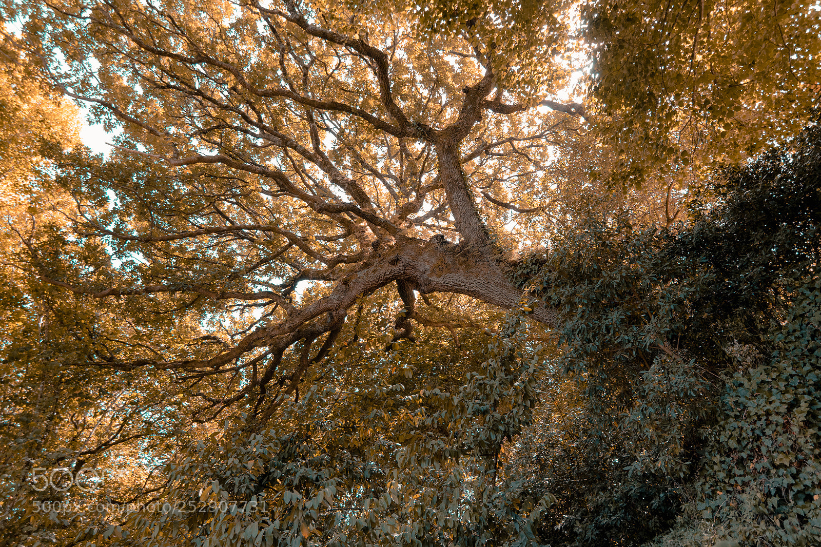 Nikon D3300 sample photo. Sintra photography