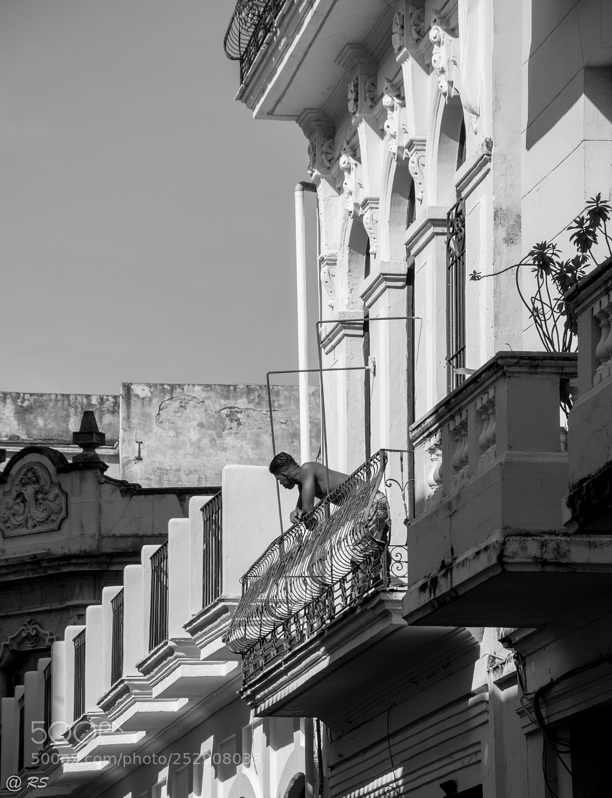 Nikon D90 sample photo. Havana bw photography
