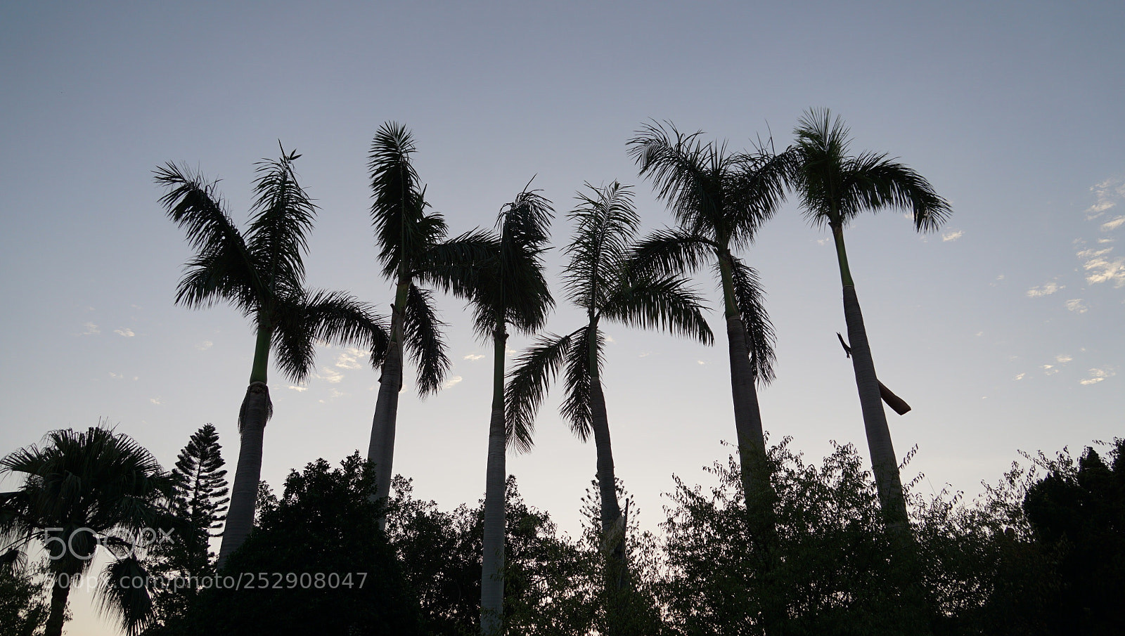 Sony a6000 sample photo. Dsc photography