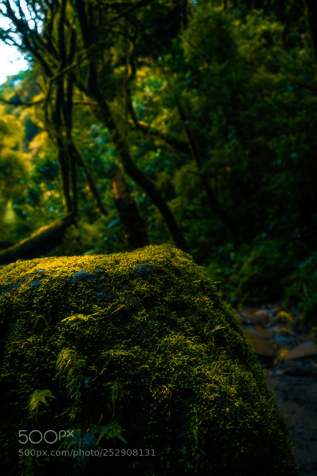 Nikon D3100 sample photo. Desde lo mas peque photography