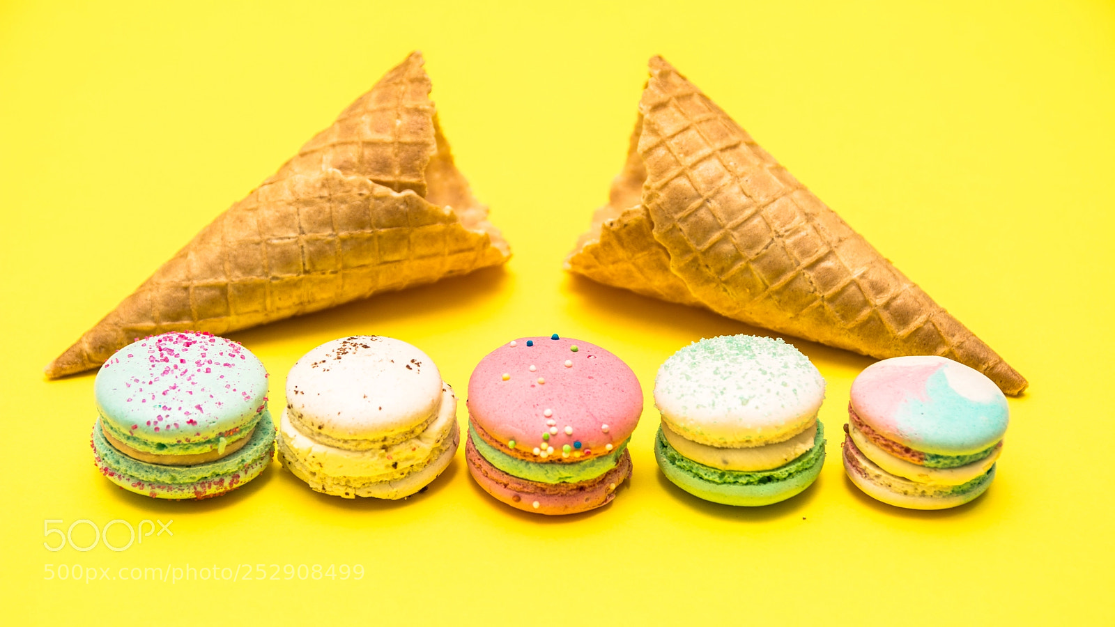 Nikon D7100 sample photo. Untitled photography