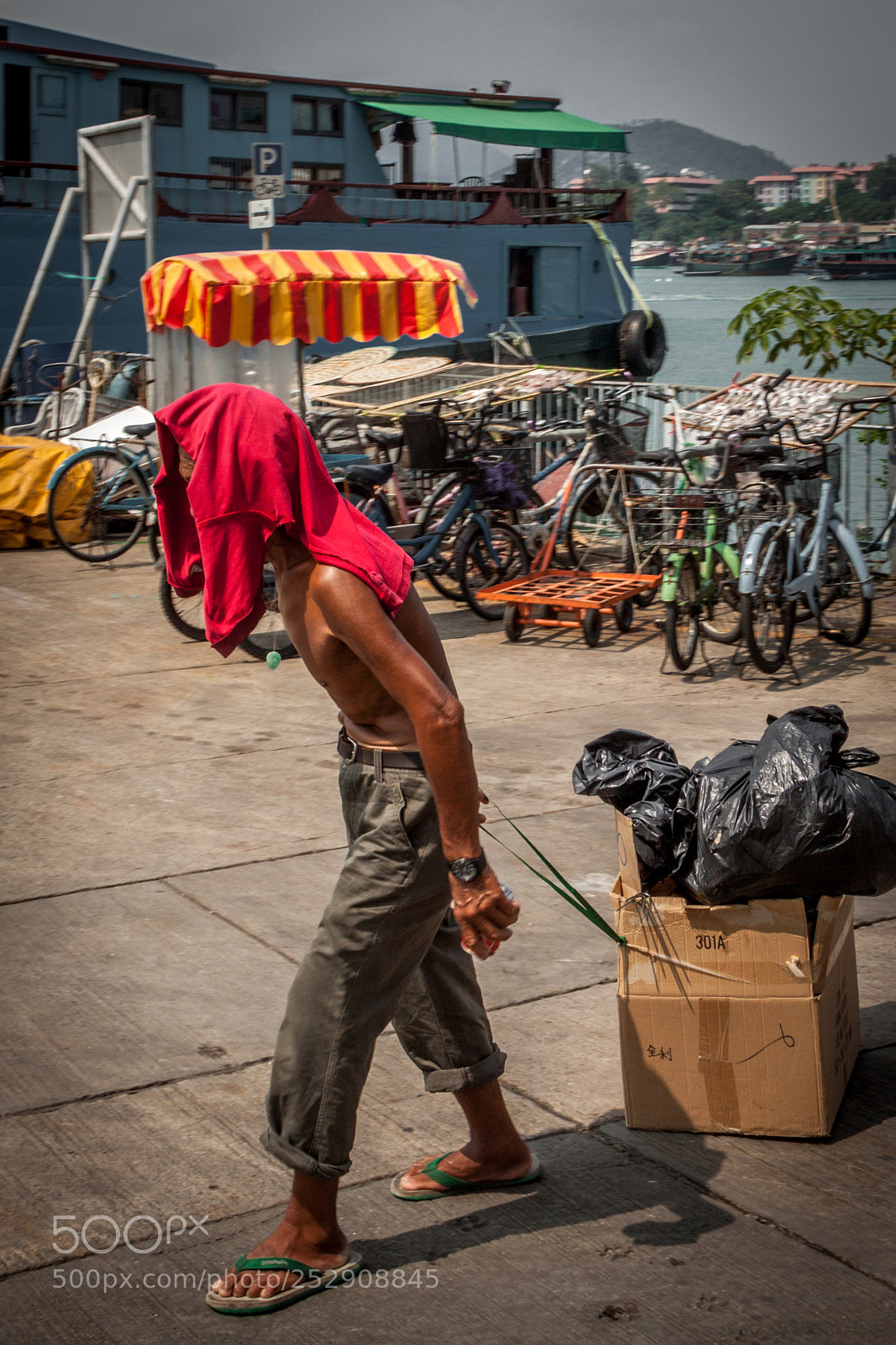 Canon EOS 50D sample photo. All my worldly goods photography